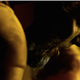 Image for article titled Every Bit of Information Revealed By the X-Men: Apocalypse Trailer